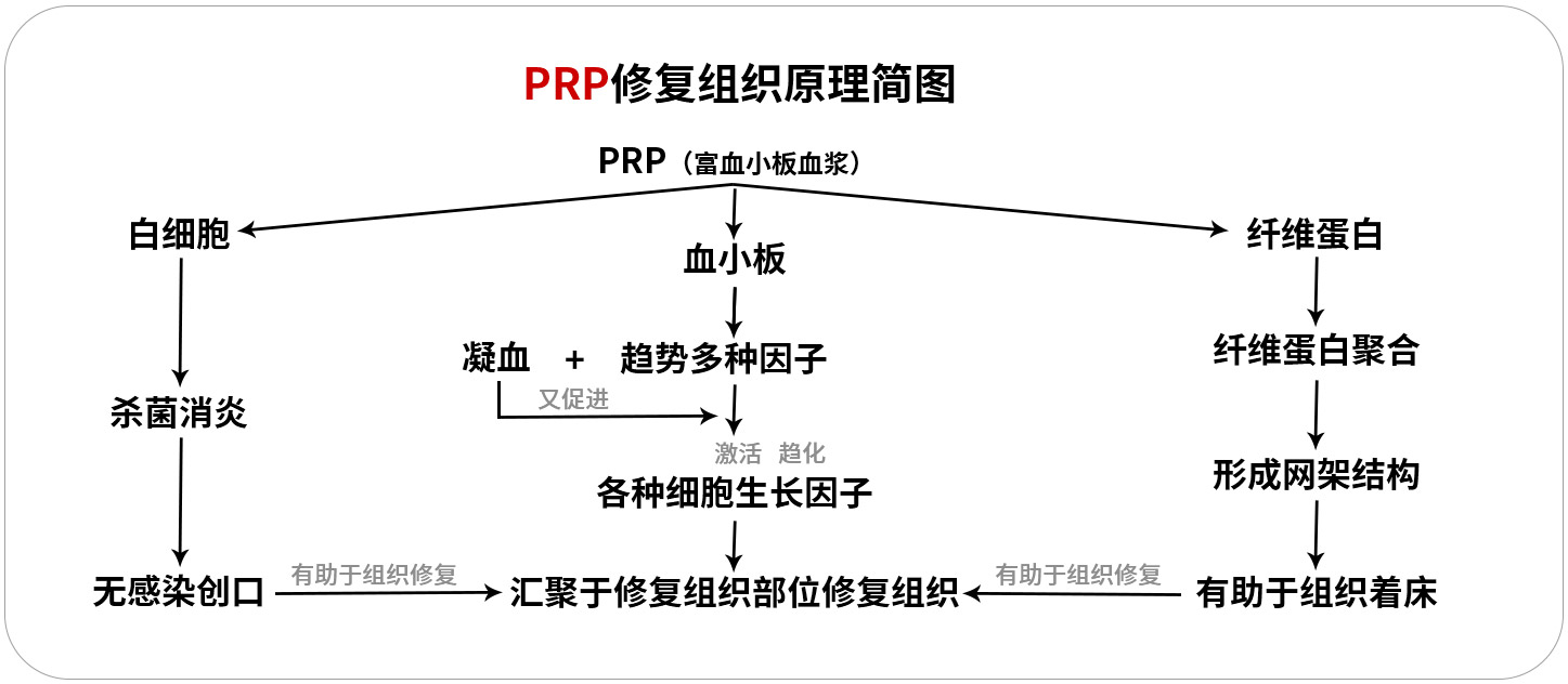 未标题-3.jpg